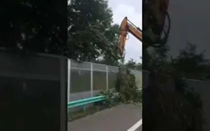 Tree Trimmer With Saw2