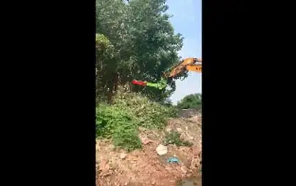 Tree Trimmer With Saw1