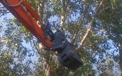 Tree shear with 360° rotation